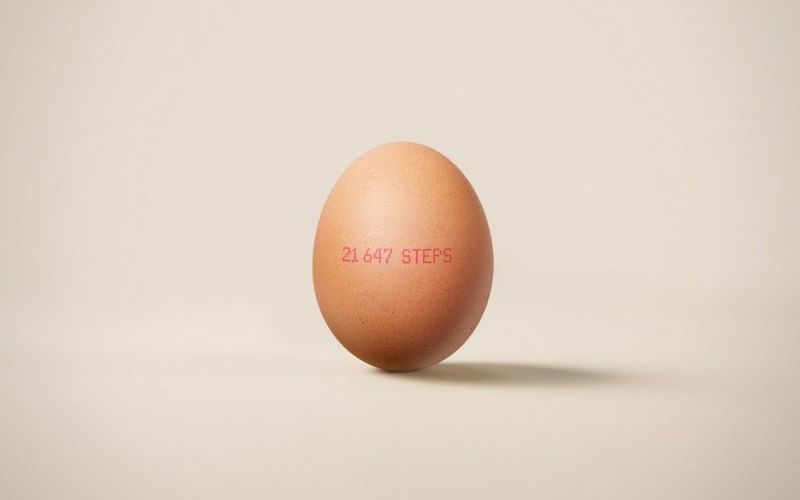 Farmáři tisknou na vejce počty kroků slepic jako důkaz welfare