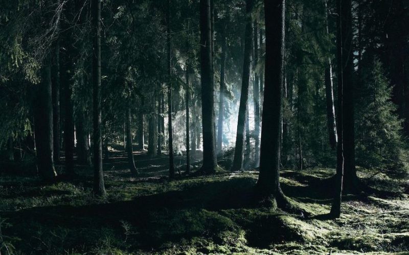 Visit Sweden láká milovníky bájí na audio legendy