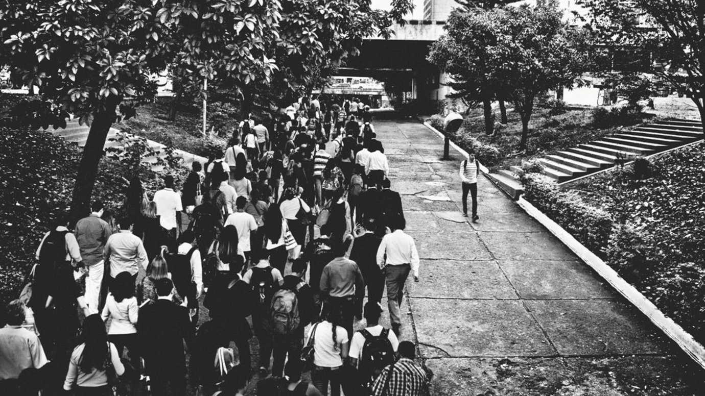 Můžeš jít svou vlastní cestou