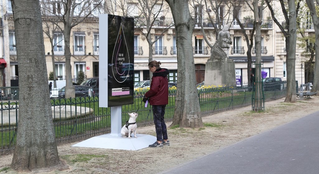 25 nejvíc Contagious kampaní roku 2019: část druhá