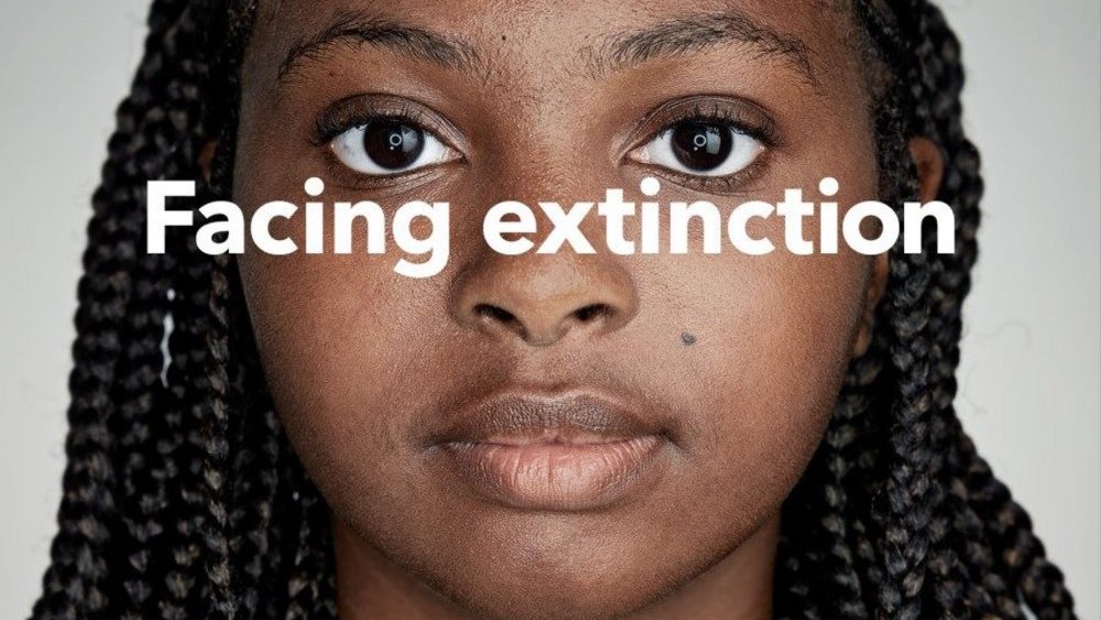 Organizační princip jako klíč k úspěšnému purpose marketingu